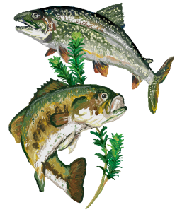 Kyle's birthday feesh 4